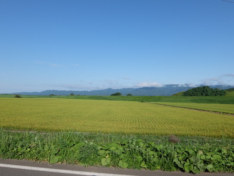 DSCF7582