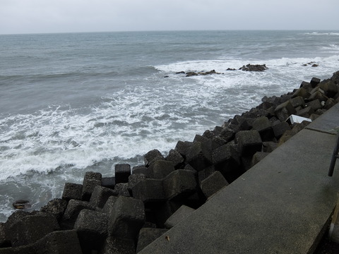 DSCF3982