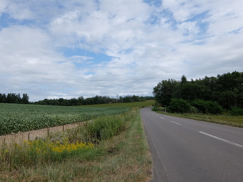 DSCF7376