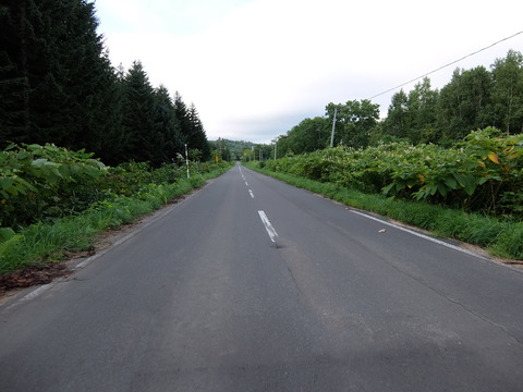 DSCF7225