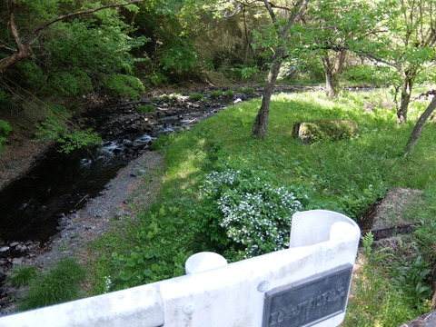 DSCF1778