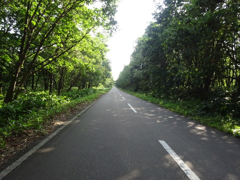 DSC00243