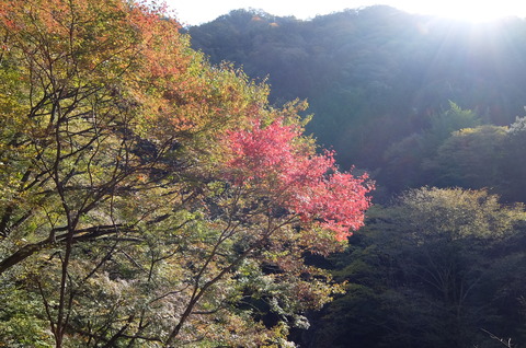 DSCF3570