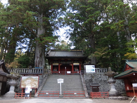 DSCF1901