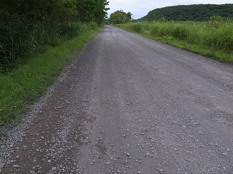 R0011479