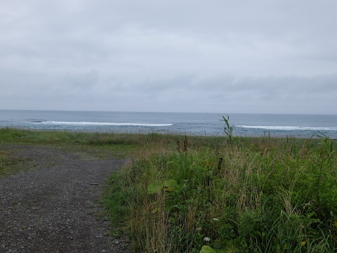 DSCF3810