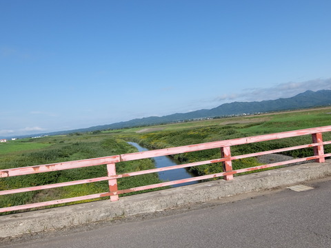 DSCF7598