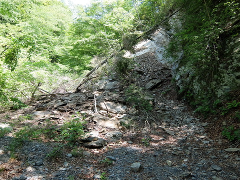 DSCF1810