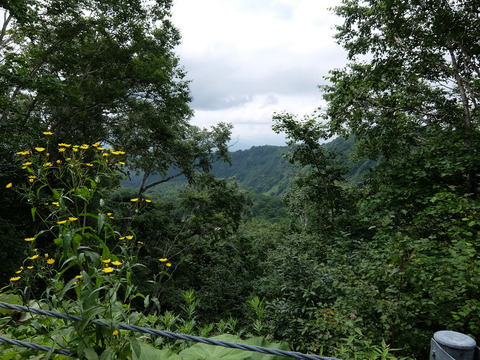 DSCF4401