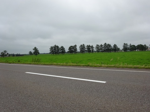 DSC00603