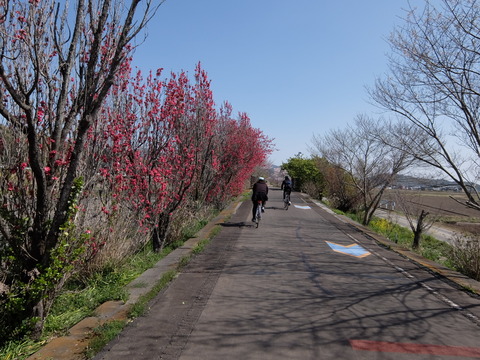 DSCF6060