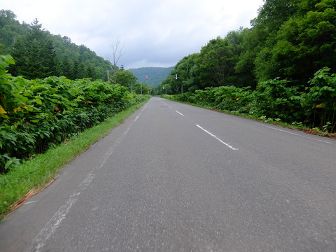 DSCF2923