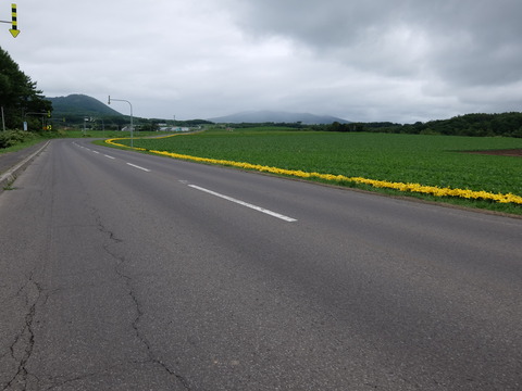 DSCF4864