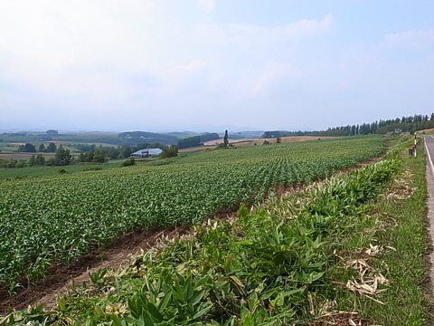 R0012140