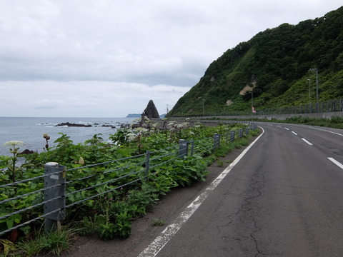 DSCF4602
