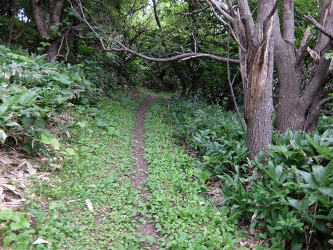 DSCF4633