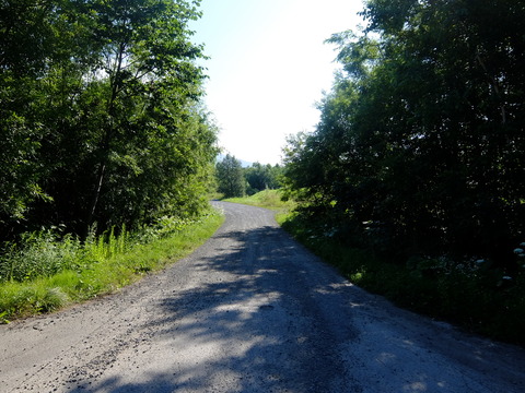 DSCF3288
