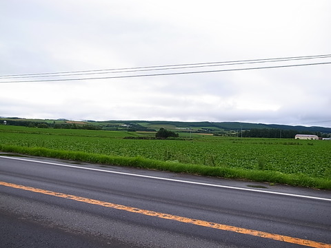R0011874