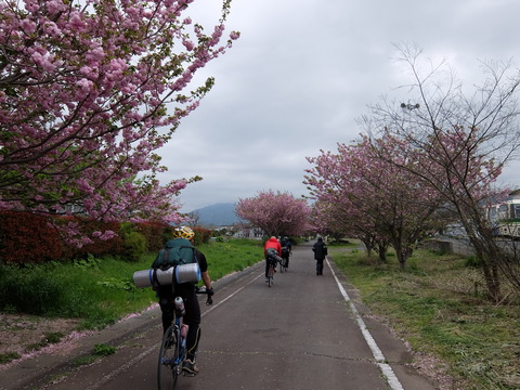 DSCF2291