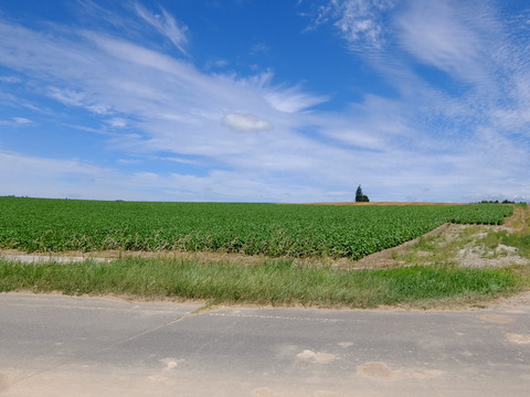 DSCF3150
