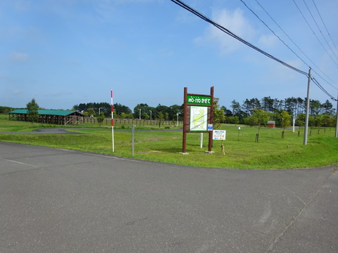DSC00706