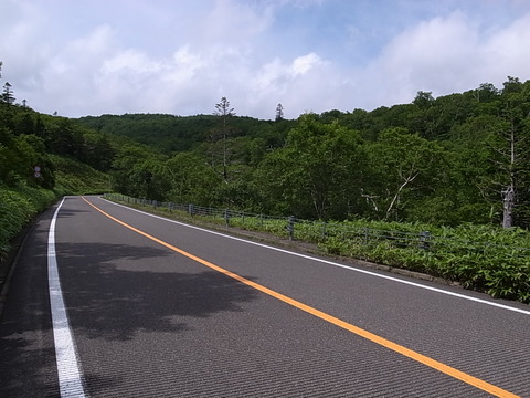 R0011394
