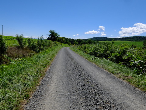 DSCF3181