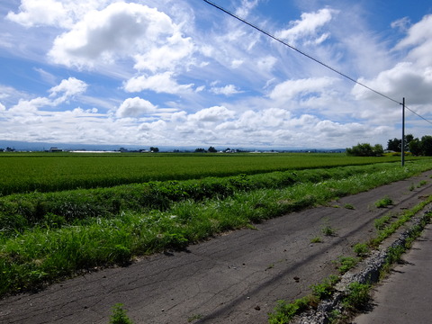 DSCF3108