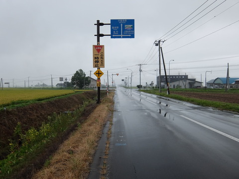 DSCF7437