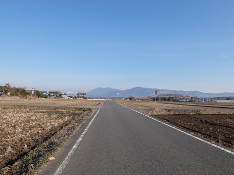 DSCF5973