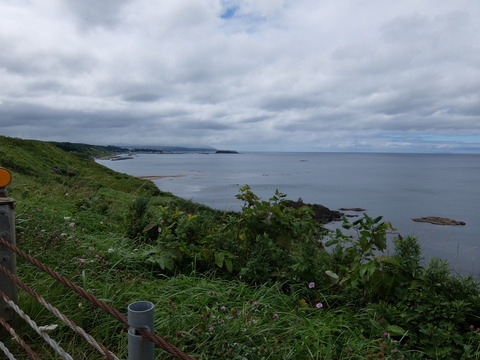 DSCF4126