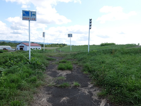DSCF7539