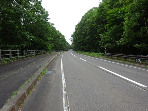 DSC00523