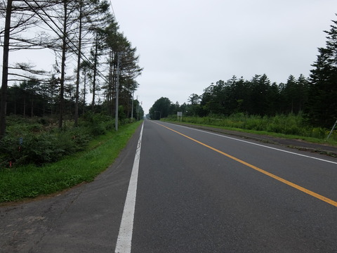 DSCF5121
