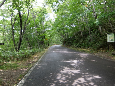 DSCF5017