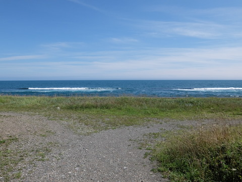 DSCF5061
