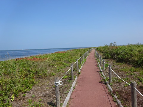 DSC00291