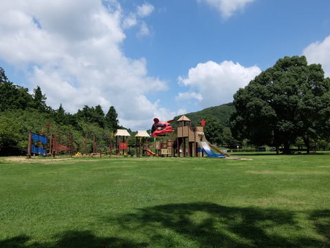 DSCF6347