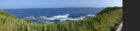 DSC00387