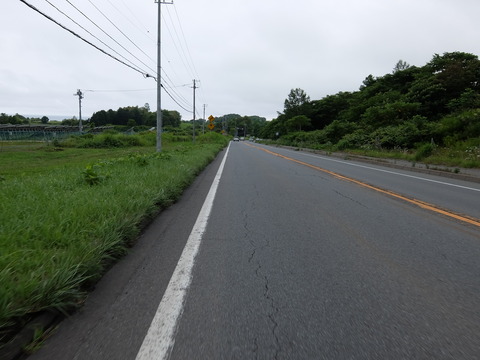 DSCF3859