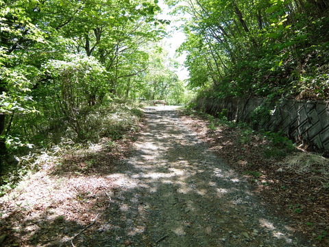 DSCF1821