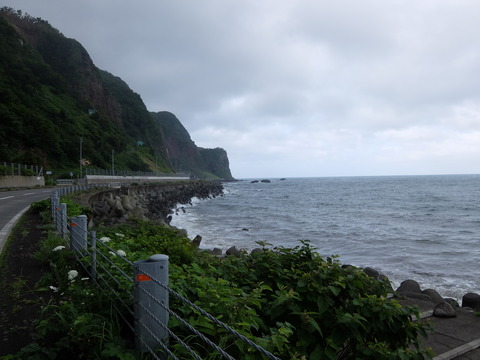 DSCF2595
