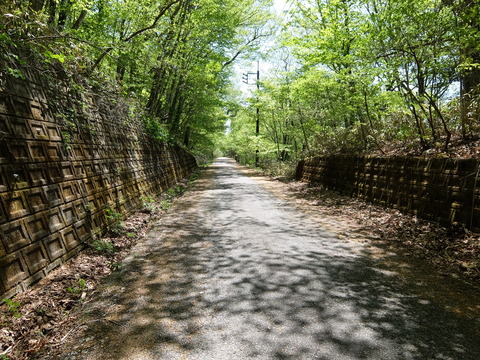 DSCF1827
