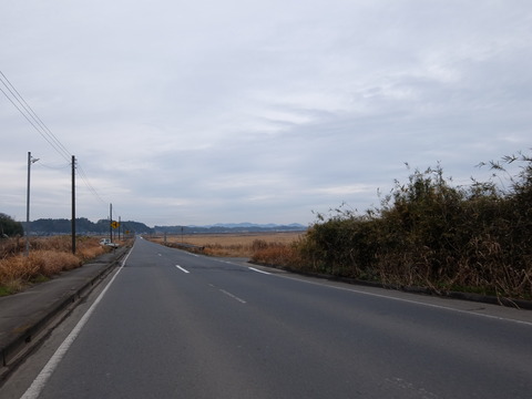 DSCF6106