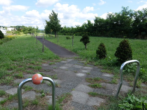 DSCF7544