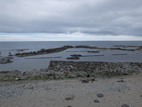 DSCF4149