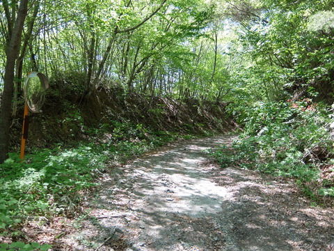 DSCF1818