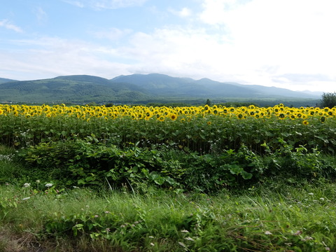 DSCF4360