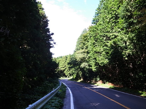 R0011573