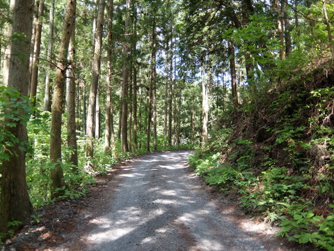 DSCF1785
